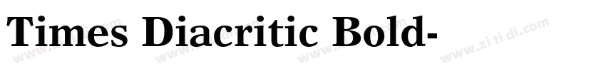 Times Diacritic Bold字体转换